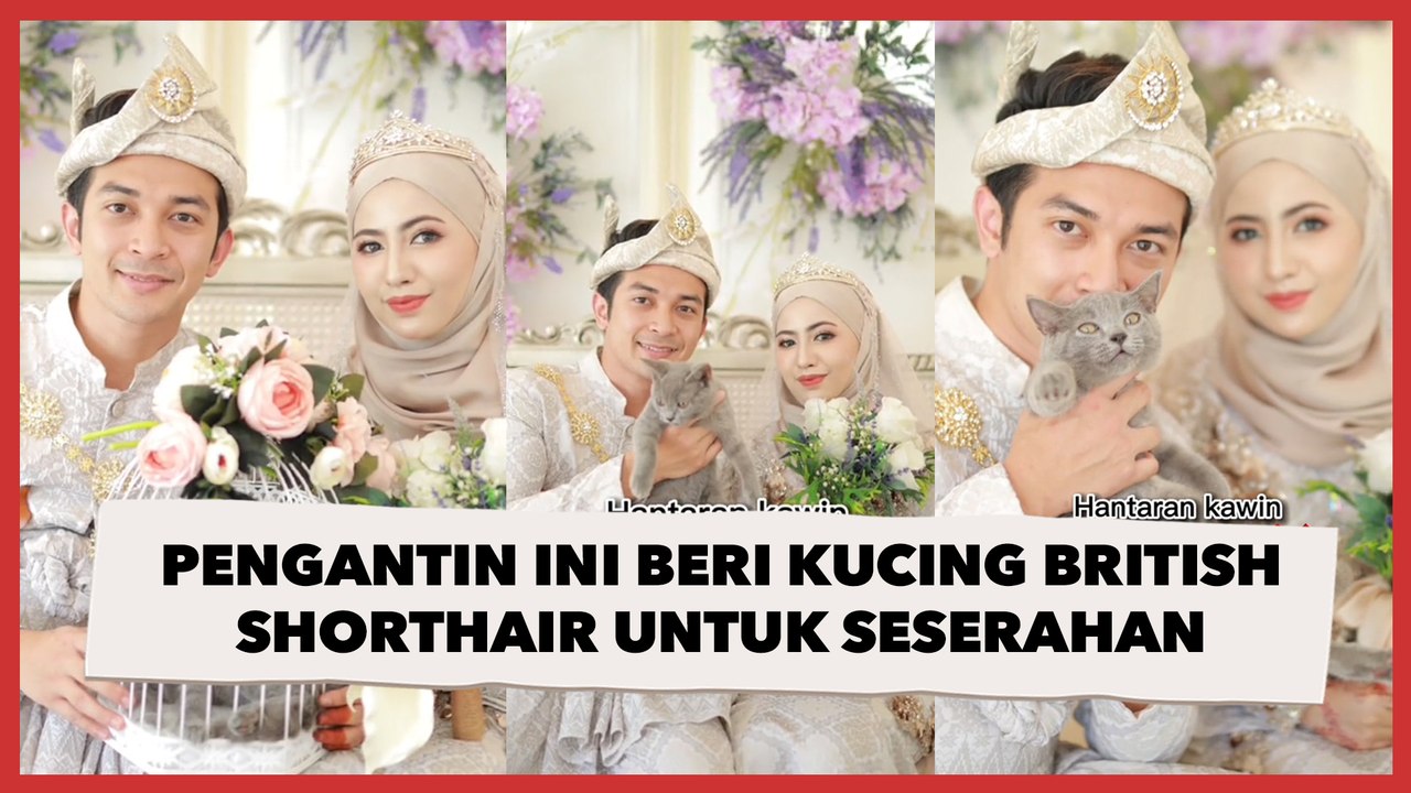 Pasangannya Cat Lover, Pengantin Ini Beri Kucin...