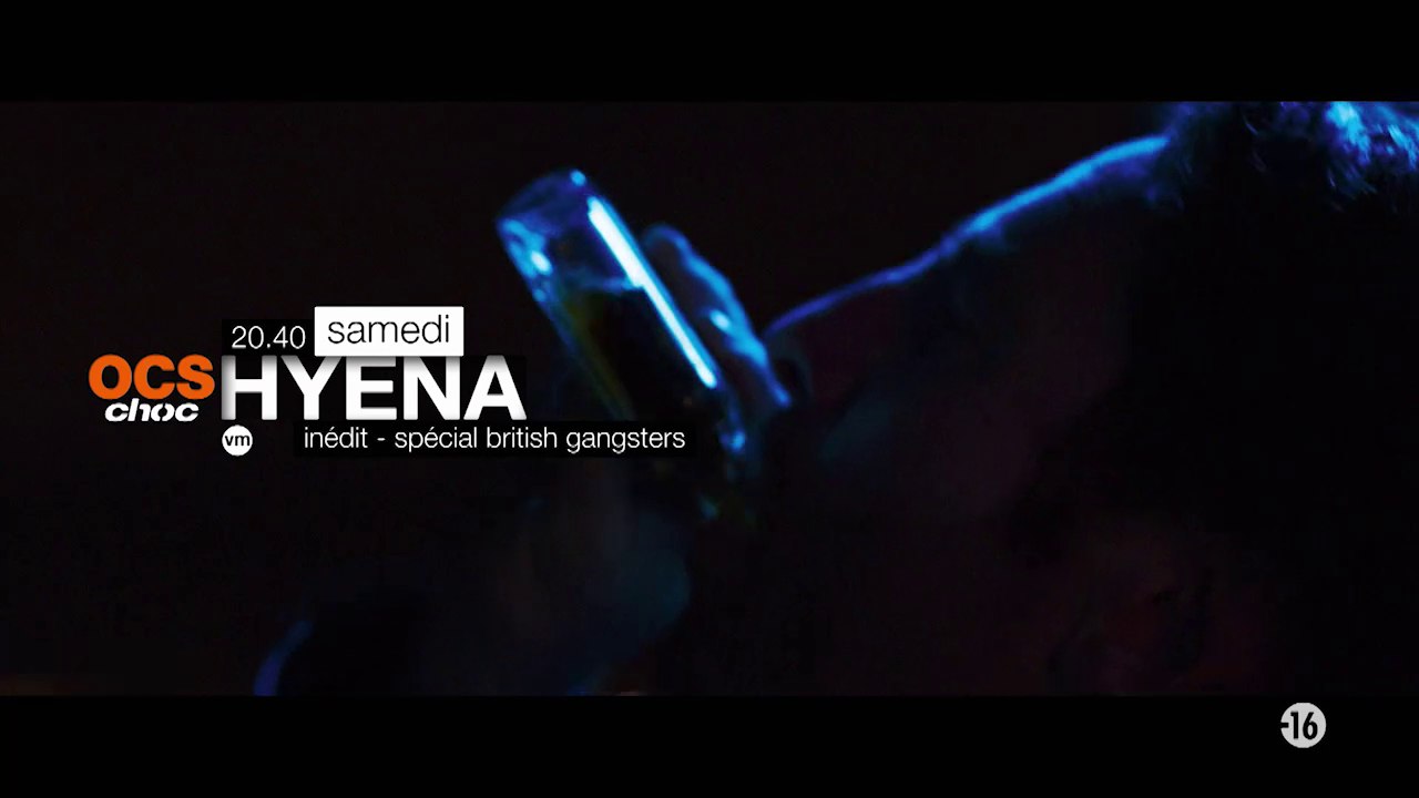 Hyena - 23/04/16