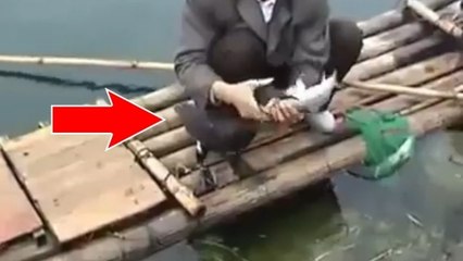 Ce Chinois a une incroyable technique pour pêcher des poissons