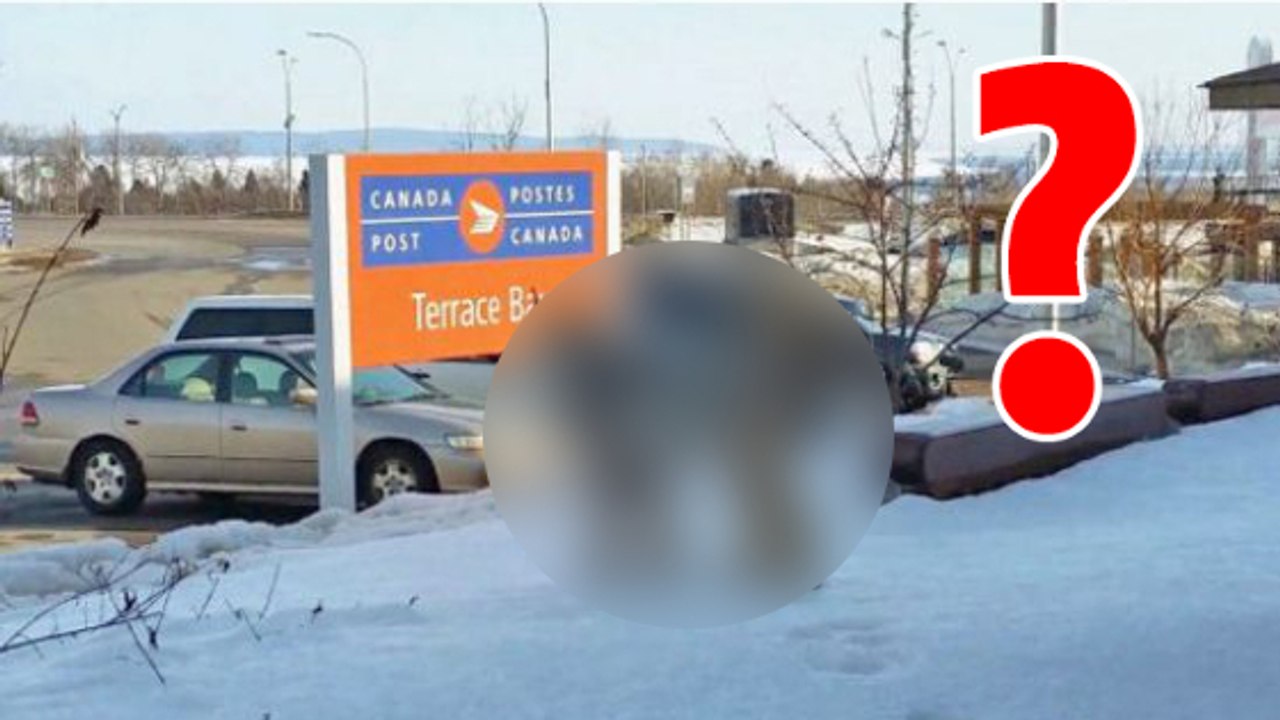 Une Canadienne fait une rencontre incroyable en pleine ville