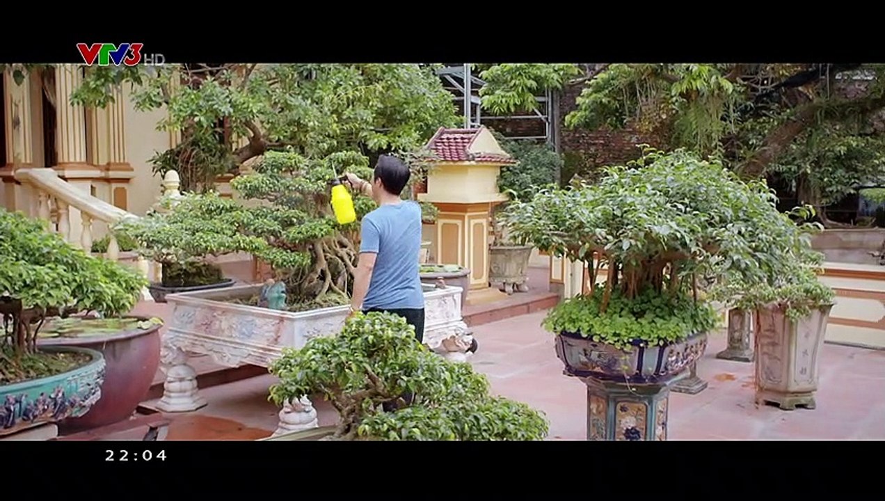 Lối về miền hoa - tập 15