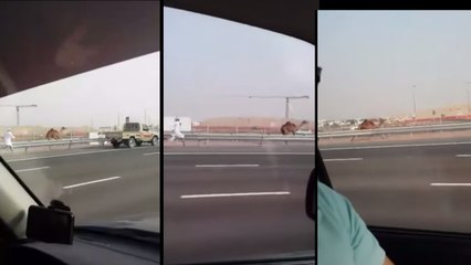 Des touristes filment une incroyable course-poursuite à Dubaï