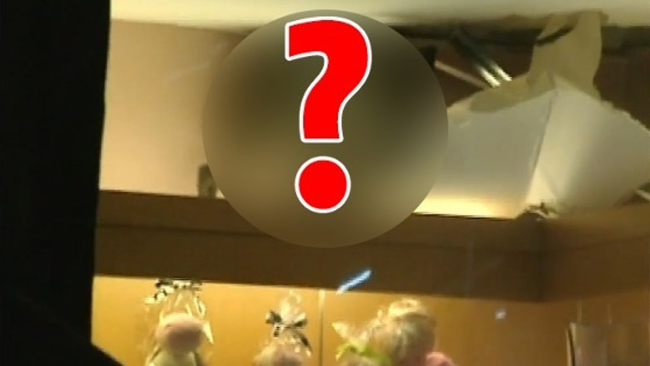 Un visiteur inattendu sème la panique dans un magasin de Hong Kong