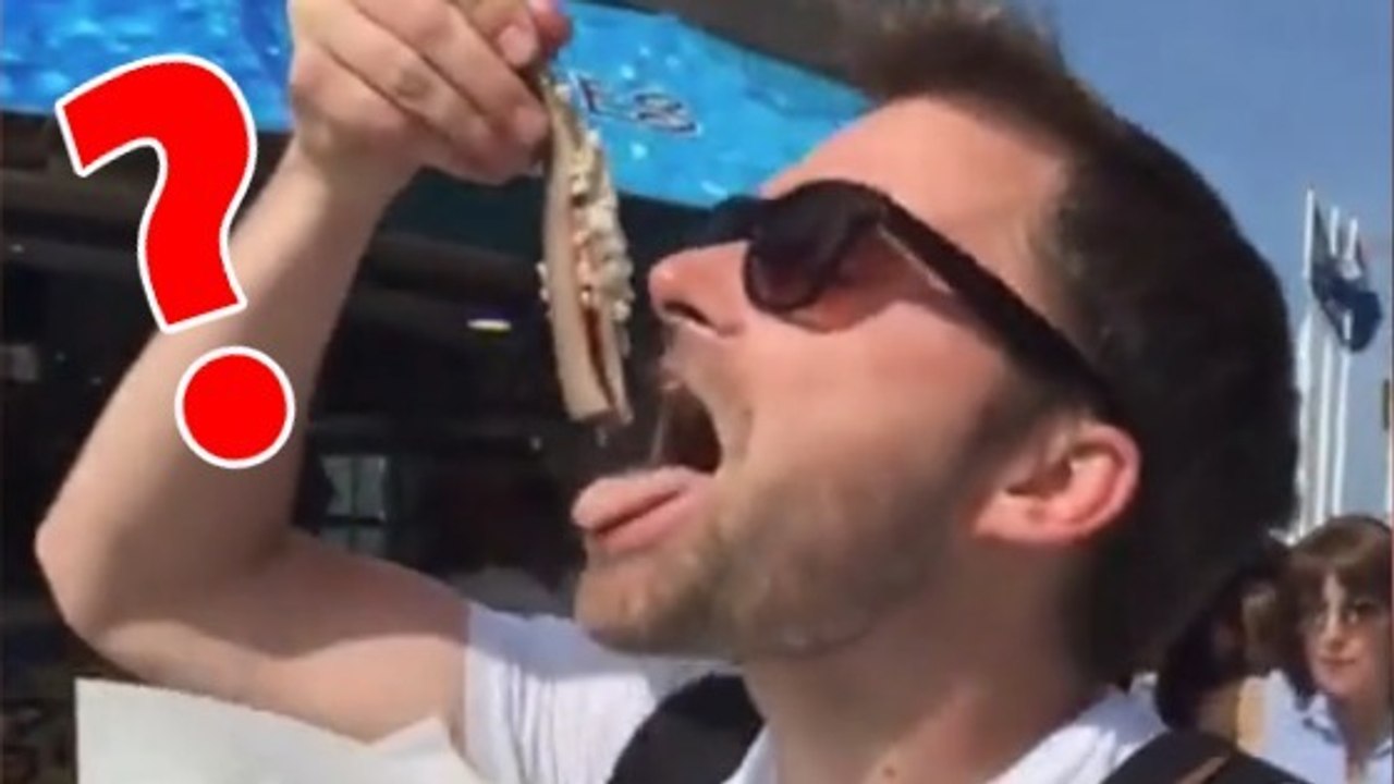 Quand il a voulu goûter du poisson, ce touriste a eu une grosse surprise aux Pays-Bas