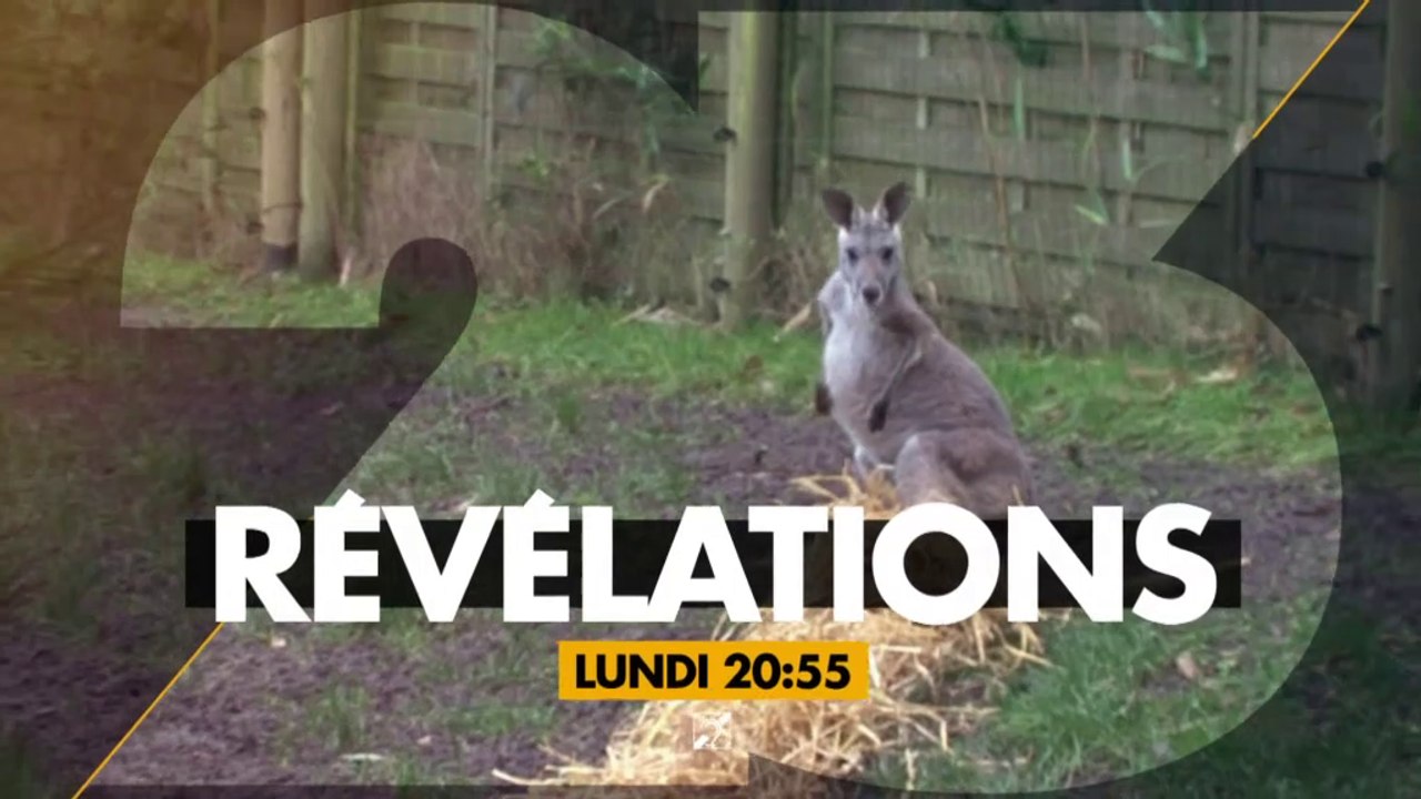Revelations - Animaux  une passion sans limites - 03 04 17