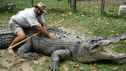 L'incroyable démonstration d'un Australien de 65 ans face à un crocodile de 800 kg
