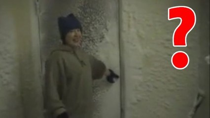 Voilà ce que vous pourrez voir si vous partez un jour en Antarctique