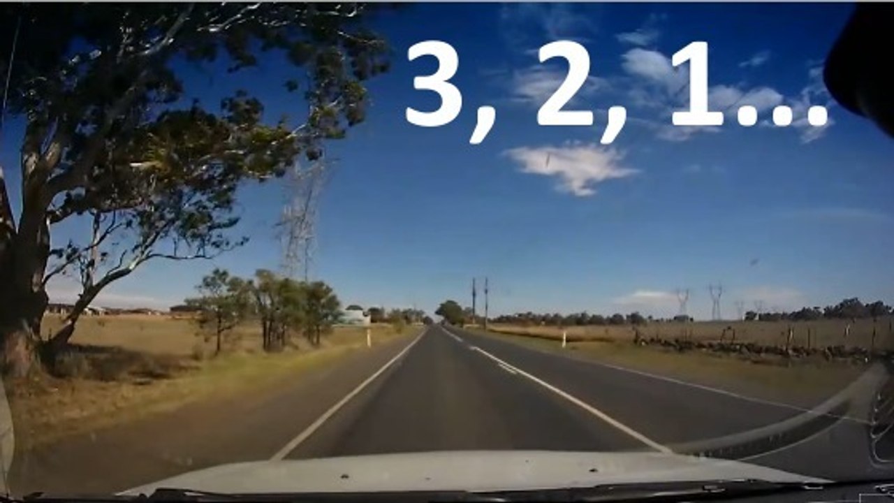 Voilà pourquoi il ne faut pas rouler à pleine vitesse sur les routes australiennes