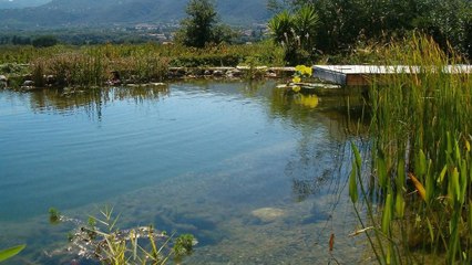 Construire une piscine naturelle chez vous, c'est possible !