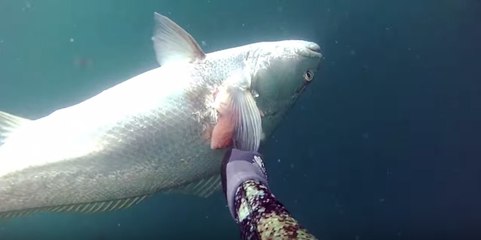 Il a pêché un poisson hors-norme