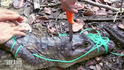 Part1- The Island _ seuls au monde -elles tuent le caïman - 160419