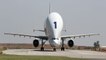 L'Airbus Beluga : l'avion qui peut transporter... des avions !