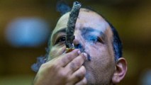 Cigares cubains : l'insolite concours de la cendre la plus longue