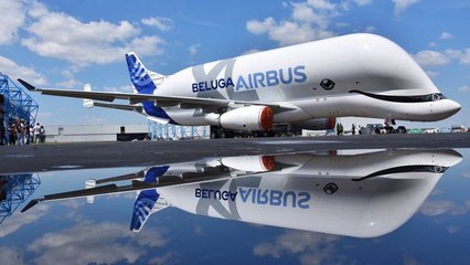 Airbus présente le Beluga XL