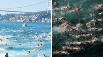 Bosphorus Cross Continental Swimming Race : ralliez l'Europe à l'Asie, une expérience à faire une fois dans sa vie !