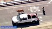 Etats-Unis: Regardez les images d’une vache gambadant sur l'autoroute et perturbant la circulation qui a donné du fil à retordre aux autorités de Californie - VIDEO