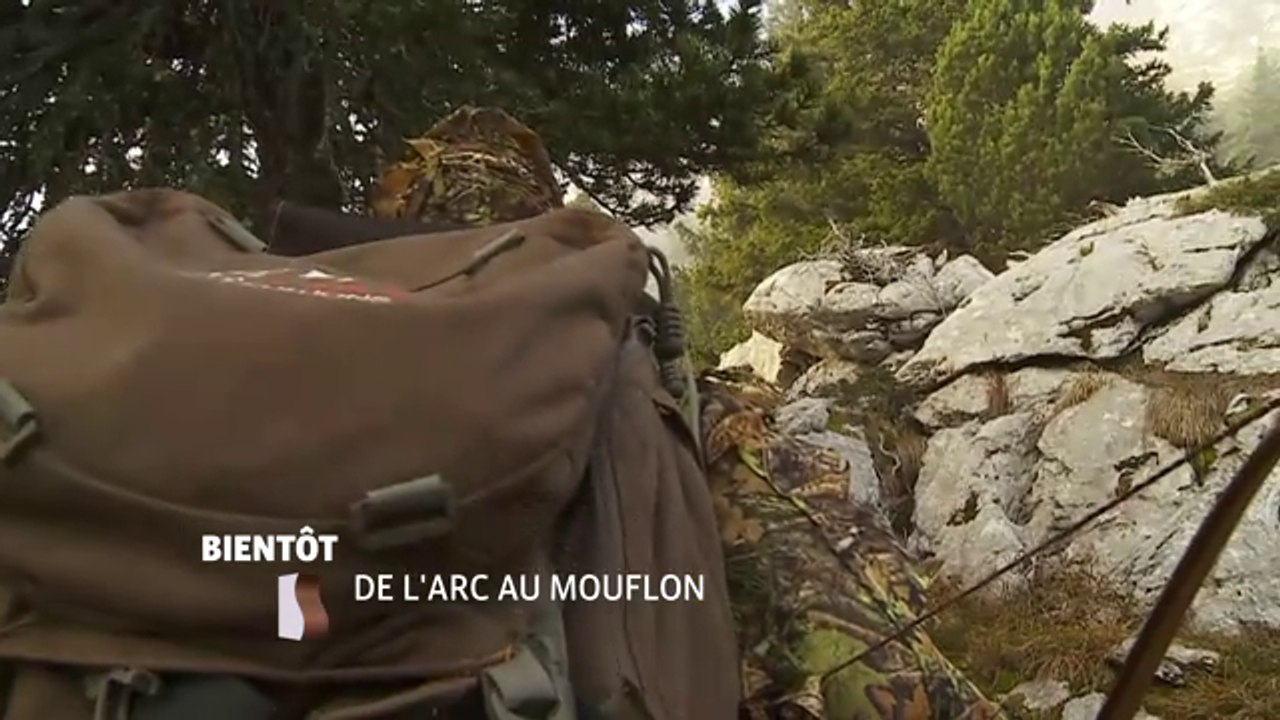 De L'arc au mouflon