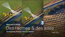 Des Racines et des ailes - Passion patrimoine : En Provence, du pays d'Aix aux Alpilles - 13/04/16