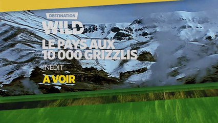 Destination Wild : le pays aux 1000 Grizzlis - 15/05/16