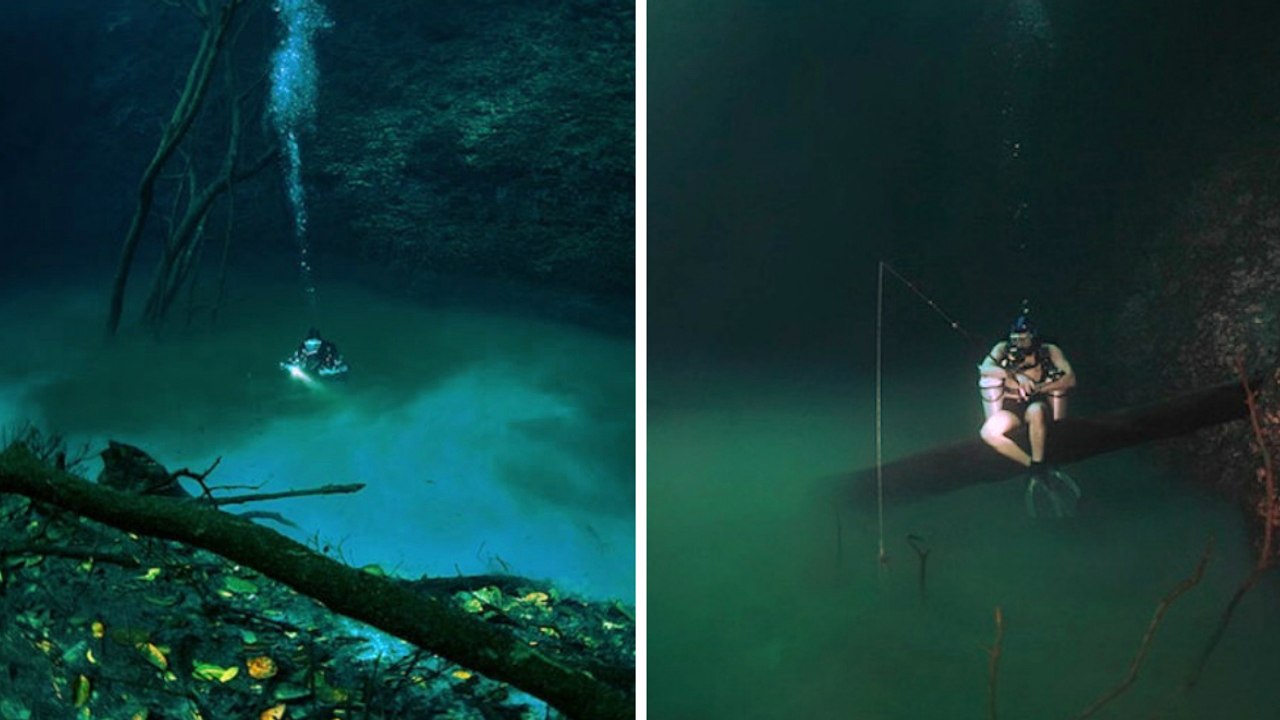 Mexique : le mystère de l'étrange rivière coulant au fond de la mer du Cenote Angelita a une explication