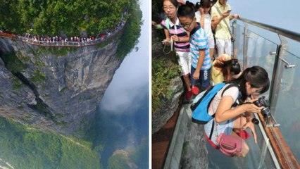 Falaise du Dragon : défiez le vide de la passerelle transparente du Mont Tianmen en Chine