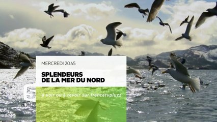 Splendeurs de la Mer du Nord - 13/04/16