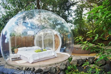 Ce lieu incroyable vous offre la possibilité de dormir dans une bulle au milieu de la végétation