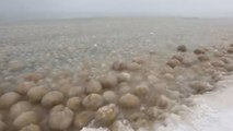 États -Unis : des boules de glace en formation sur le lac Michigan