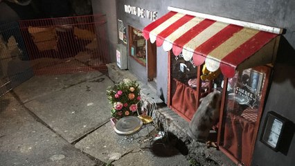 En Suède, on trouve des boutiques pour... les souris !