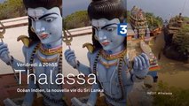 Thalassa - Océan Indien : la nouvelle vie du Sri Lanka - 08/04/16