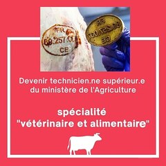 Devenir technicien.ne supérieur.e du ministère de l'Agriculture - spécialité "vétérinaire et alimentaire"