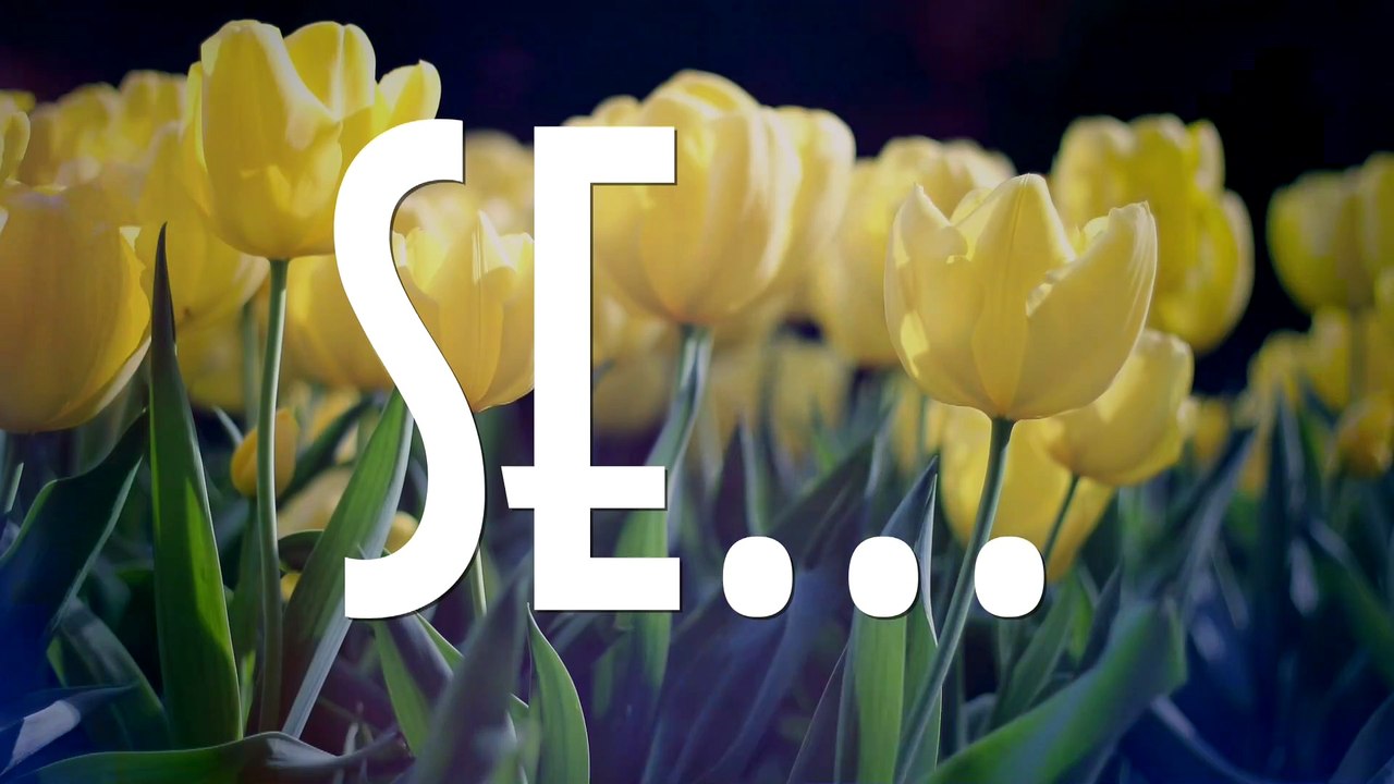 Se... - EMVB - Emerson Martins Video Blog 2016