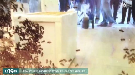 Le zapping du 22/04 : Invasion d’abeilles à Montpellier