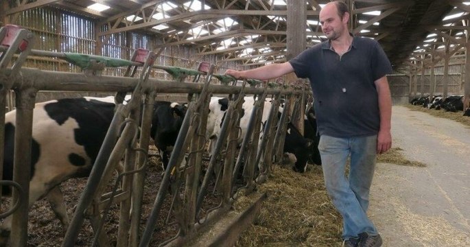 Oise : un éleveur condamné à verser 102 000 euros à ses voisins dérangés par le bruit et l'odeur de ses vaches