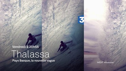 Thalassa - Le pays Basque la nouvelle vague - 22 04 16