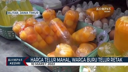 Harga Telur Mahal, Warga Terpaksa Beli Telur Retakan