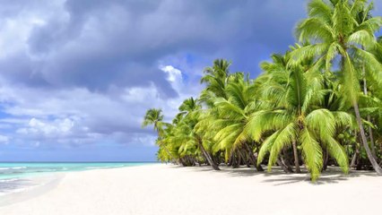 Bahamas : coincés sur une île déserte pendant un mois, ils mangent des rats pour survivre