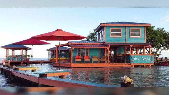 Insolite : vous pouvez désormais dormir dans la maison ananas de Bob l'Éponge