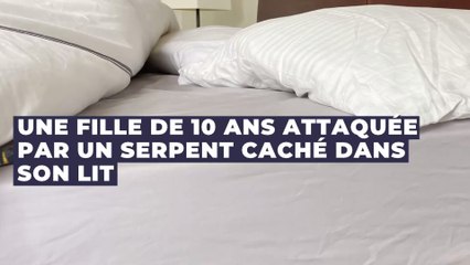 Australie : une fille de 10 ans attaquée et mordue par un serpent caché dans son lit