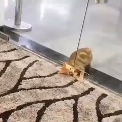 Ce n'est pas à cause de la météo... que les avions sont si souvent en retard et non ! (Test2).