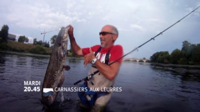 Carnassiers aux leurres