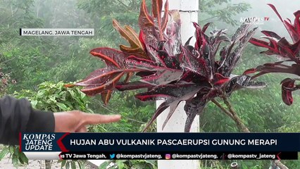Hujan Abu Vulkanik Pascaerupsi Gunung Merapi