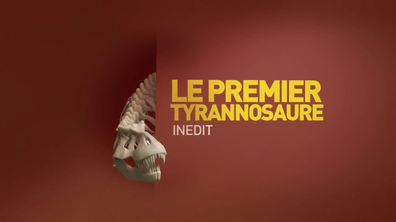 Le Premier Tyrannosaure