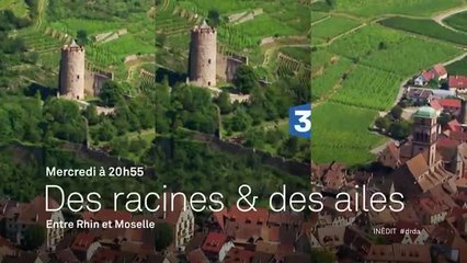 Des Racines et des ailes - Entre Rhin et Moselle - 22/03/17