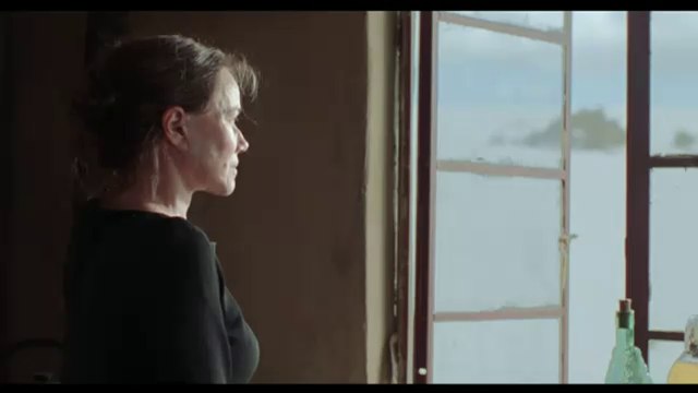 L'oiseau ne sait pas voler - VO