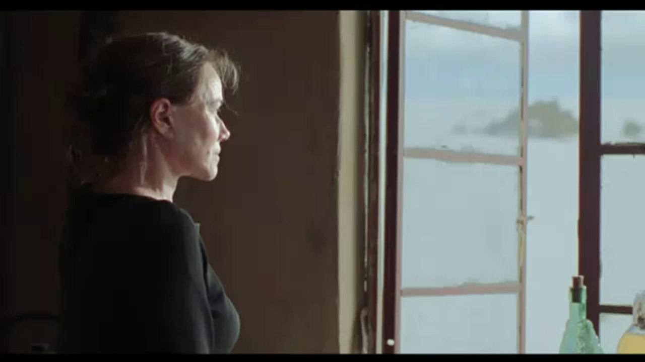 L'oiseau ne sait pas voler - VO