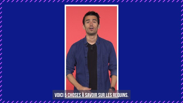 Un requin zombie se fait manger par d'autres animaux (Vidéo)