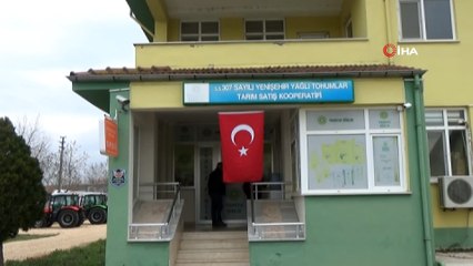 İşte Ayçiçek yağı sorunu böyle çözülecek: Bursa'da bugün başladı