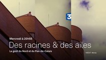 Des Racines et des ailes - Passion patrimoine : le goût du Nord et du Pas de Calais - 23/03/16