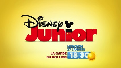 La Garde du Roi Lion